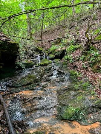 $3,400,000 | Tbd Colony Lane, West Union, SC 29696