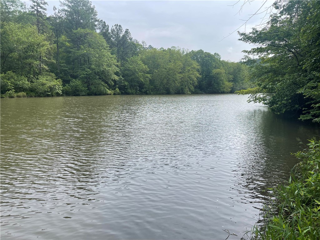 Tbd Colony Lane West Union, SC 29696 - Photo 5 of 36