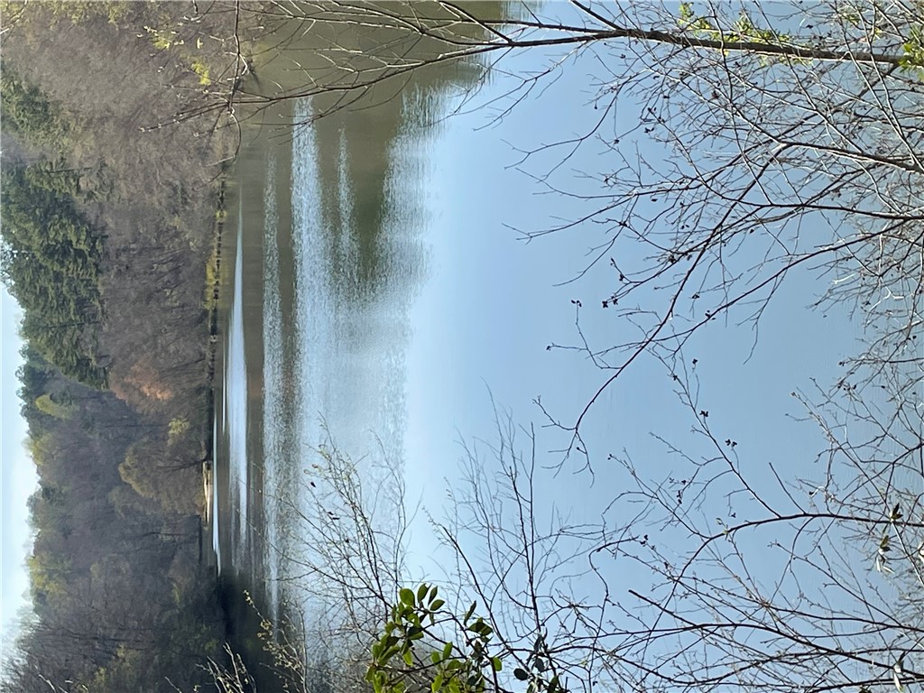 Tbd Colony Lane West Union, SC 29696 - Photo 6 of 36