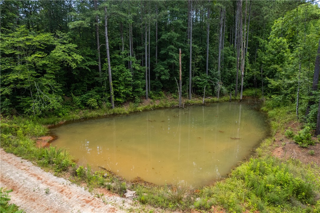Tbd Colony Lane West Union, SC 29696 - Photo 10 of 36