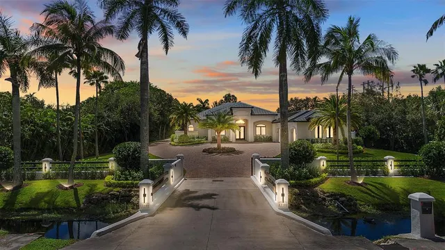 a view of backyard of a house and palm tree