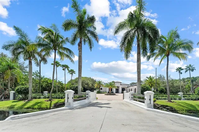 a row of palm trees and swimming pool in the garden