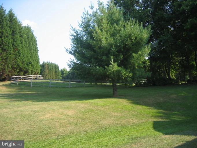 909 Carsins Run Road Aberdeen, MD 21001 - Photo 2 of 14 Back yard