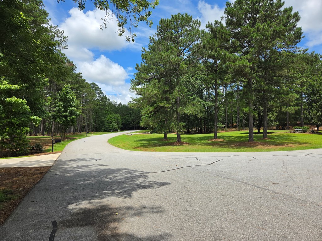 110 Long Point Road Hodges, SC 29653 - Photo 2 of 11