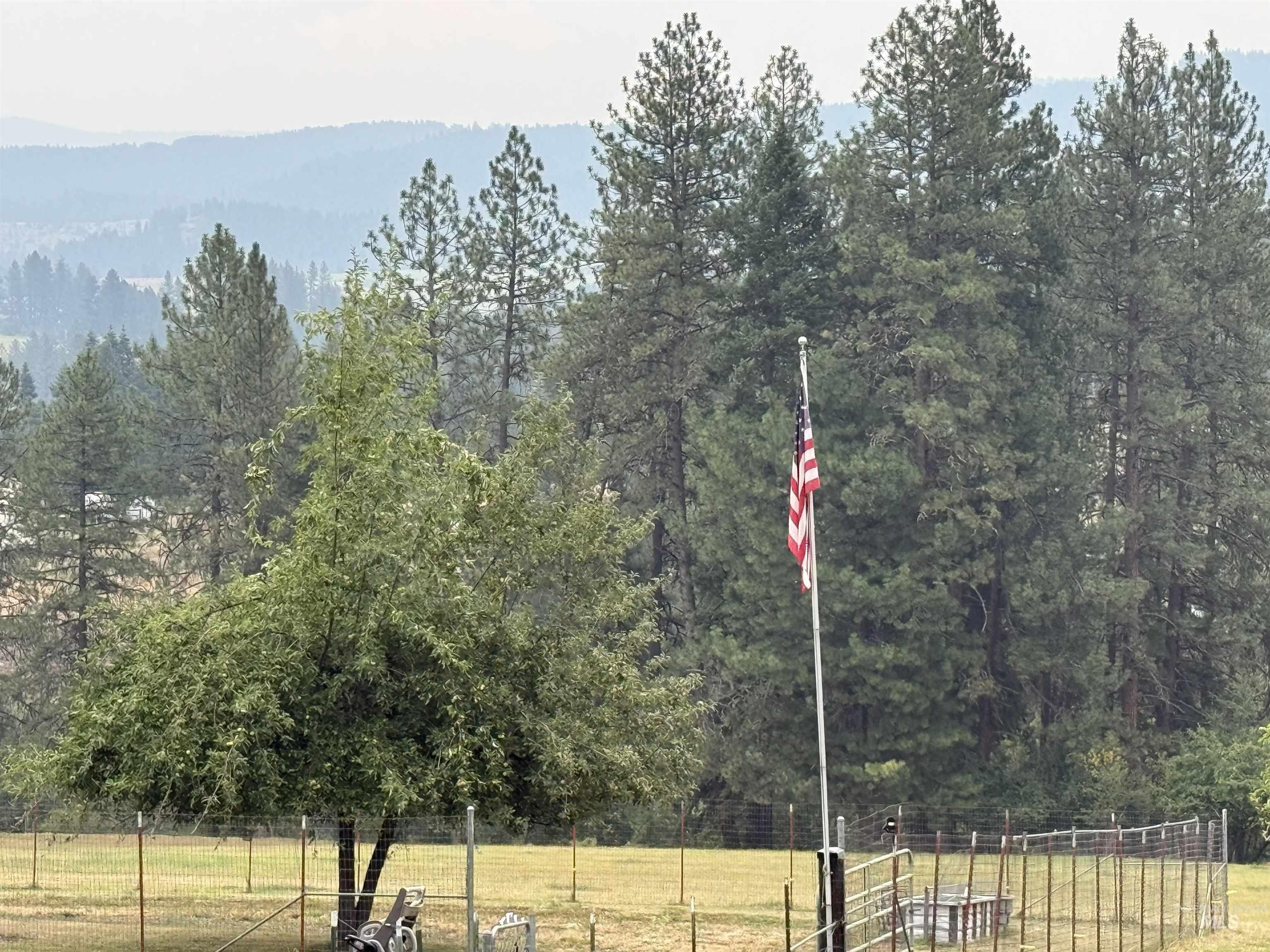 733 Pleasant Valley Road Stites, ID 83552 - Photo 46 of 46 Expansive outdoor space featuring a large tree, flagpole, and perimeter fencing, backed by a dense line of mature pine trees and distant rolling hills