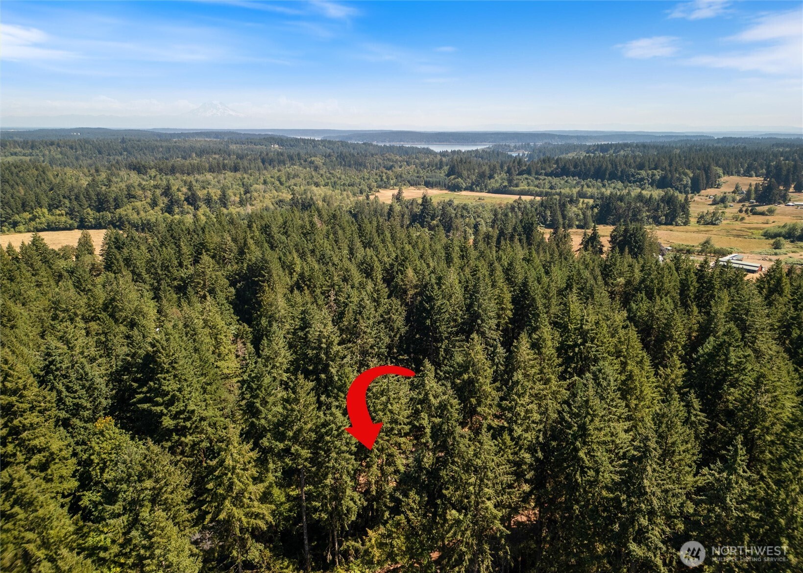 3007 Creviston Road Southwest Lakebay, WA 98349 - Photo 26 of 27