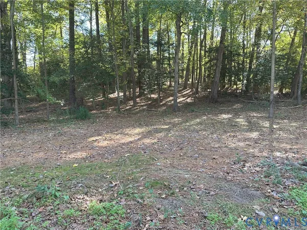 a view of a yard with trees in the background