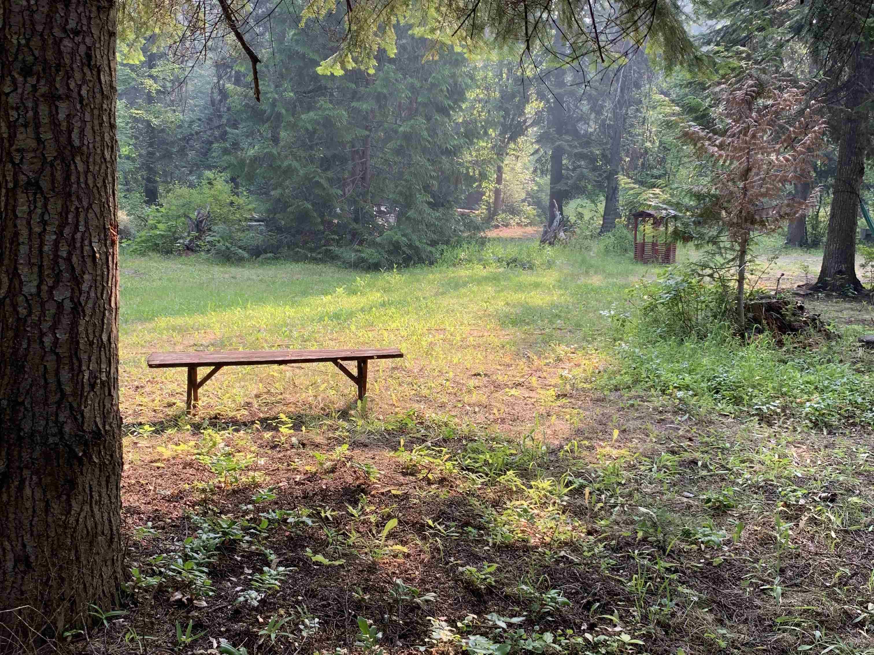 2423 L Quinns Meadow Road Colville, WA 99114 - Photo 15 of 24