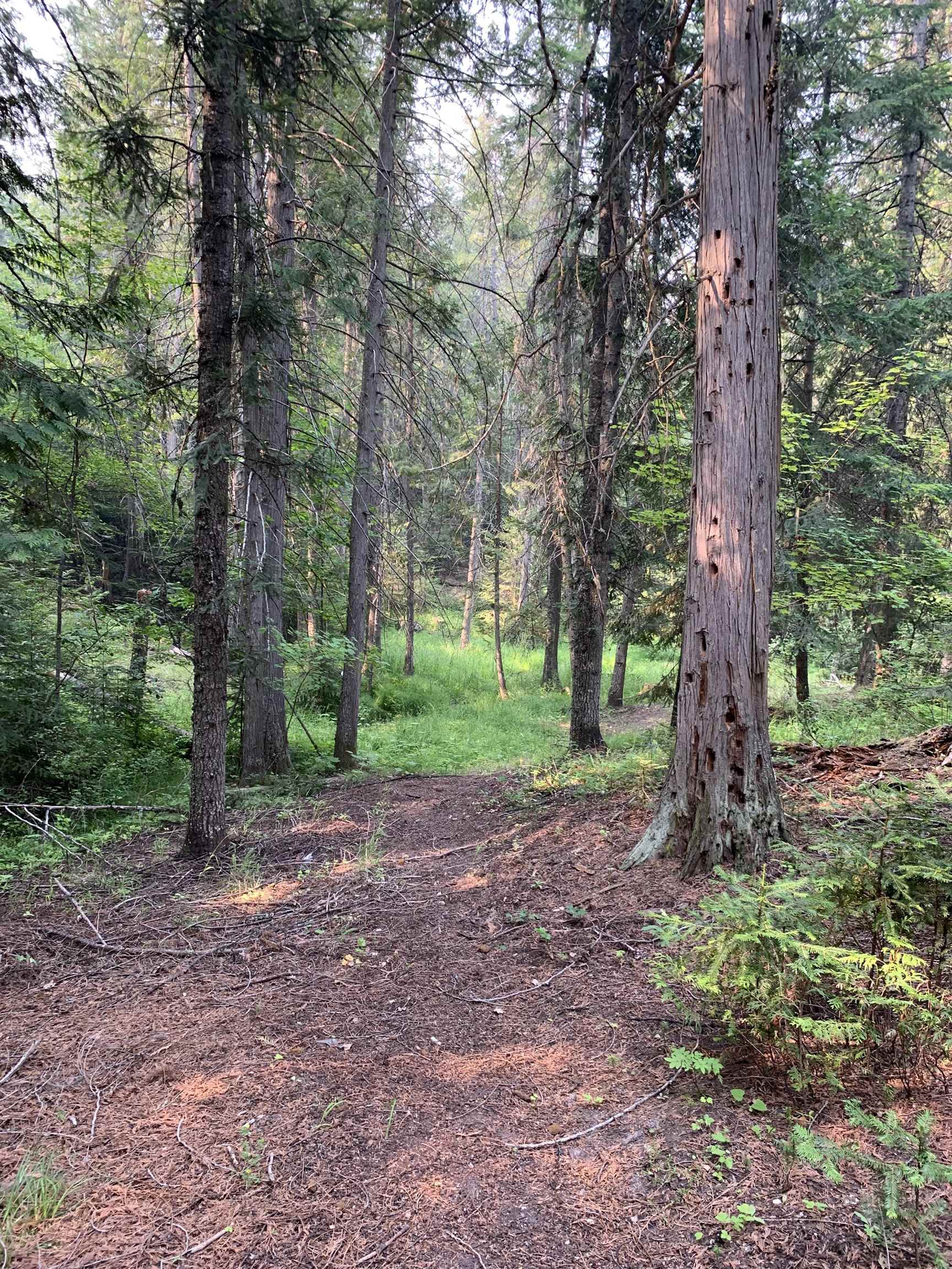 2423 L Quinns Meadow Road Colville, WA 99114 - Photo 18 of 24