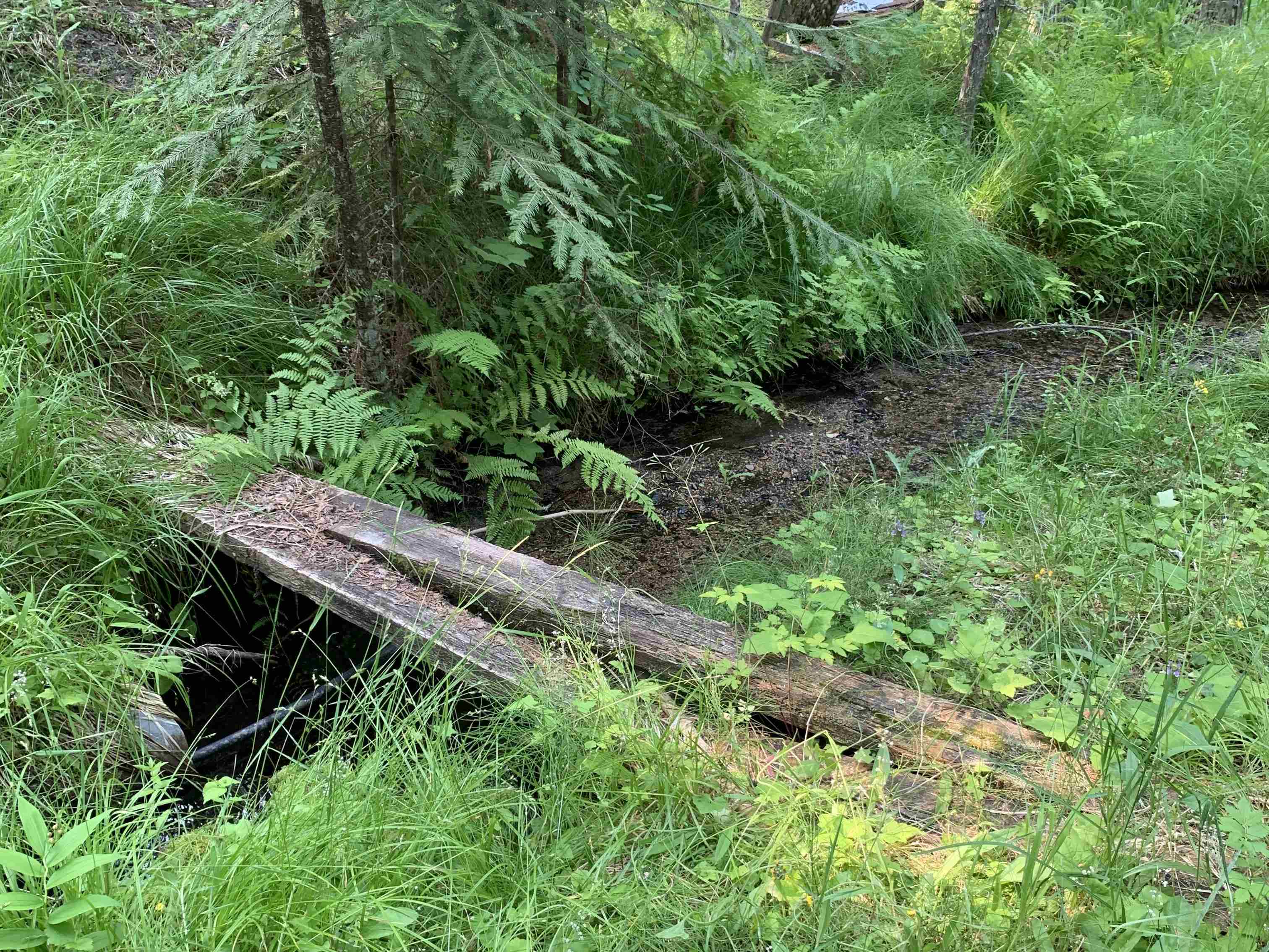 2423 L Quinns Meadow Road Colville, WA 99114 - Photo 3 of 24