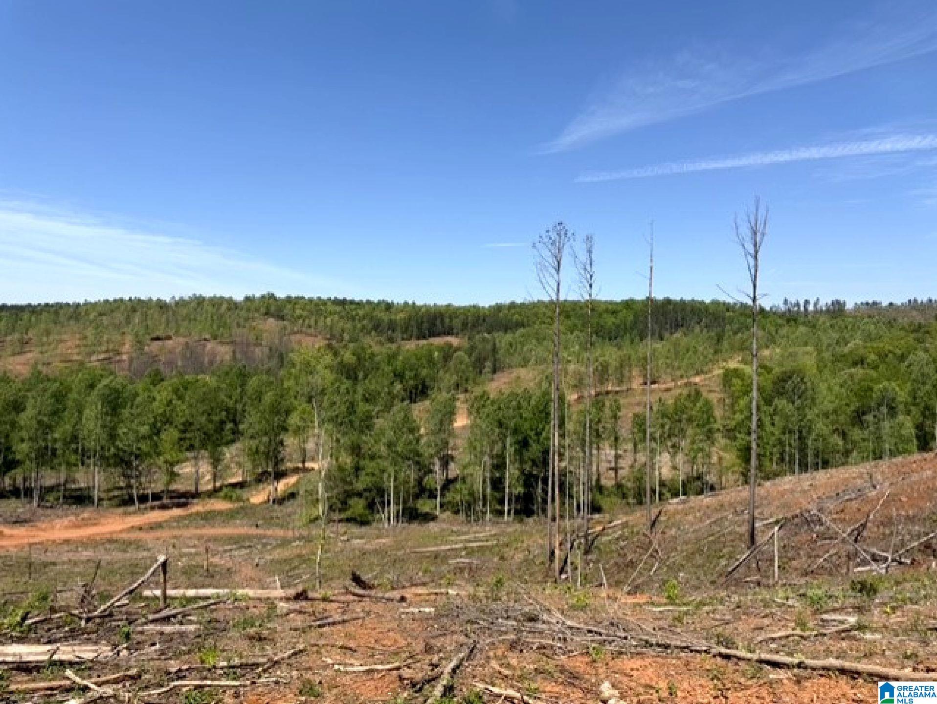 Mines Road, Unit 218 Talladega, AL 35160 - Photo 14 of 21 Gallery Image 14