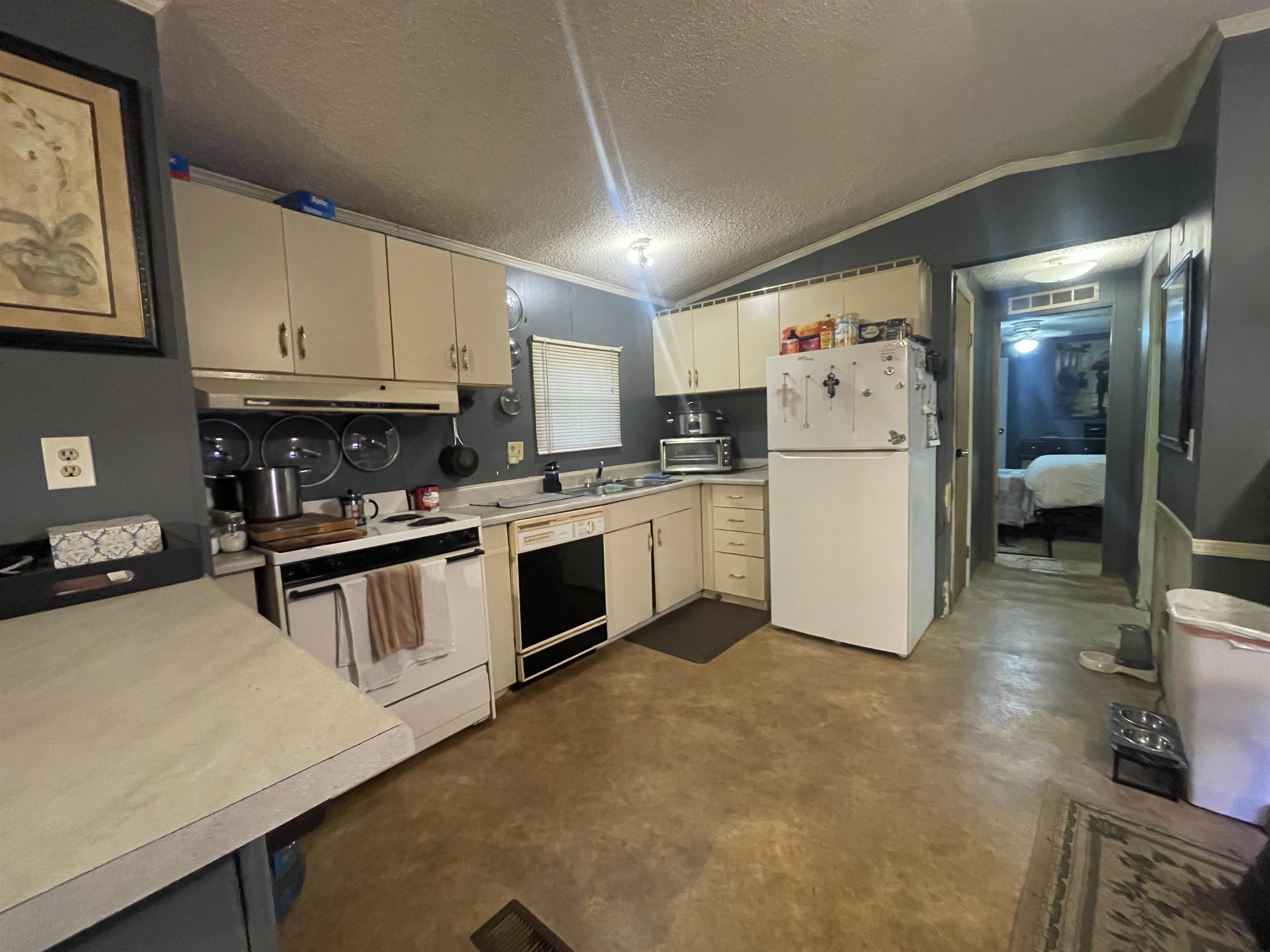 1229 Black Leg Road Rush, KY 41168 - Photo 8 of 13