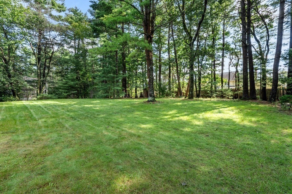 136 Phillips Brooks Road Westwood, MA 02090 - Photo 5 of 8 a grassy field with trees in the background