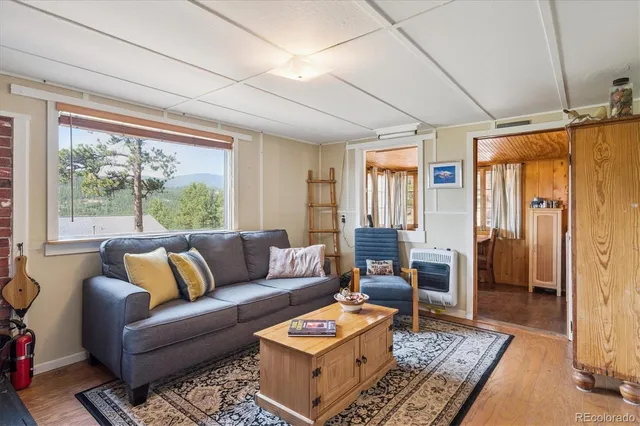 a living room with furniture and a rug