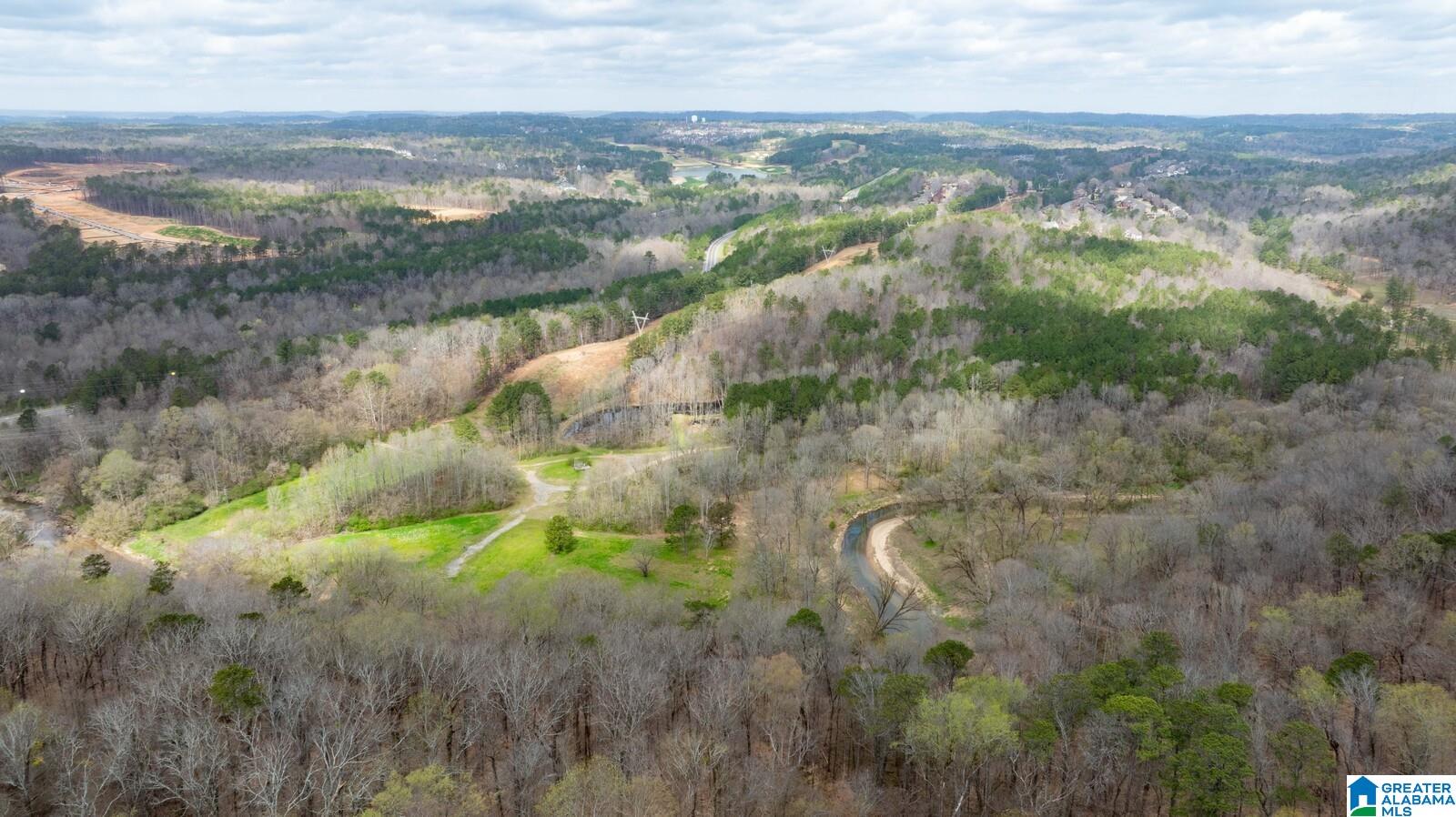 204 Shades Crest Road Birmingham, AL 35226 - Photo 58 of 60