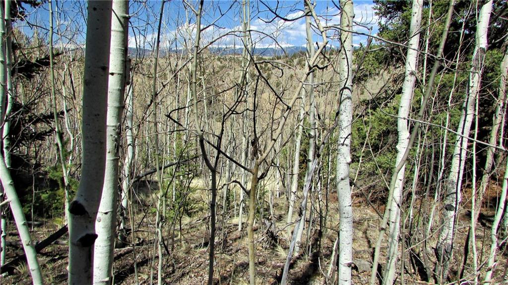 170 Arland Road Como, CO 80432 - Photo 14 of 25