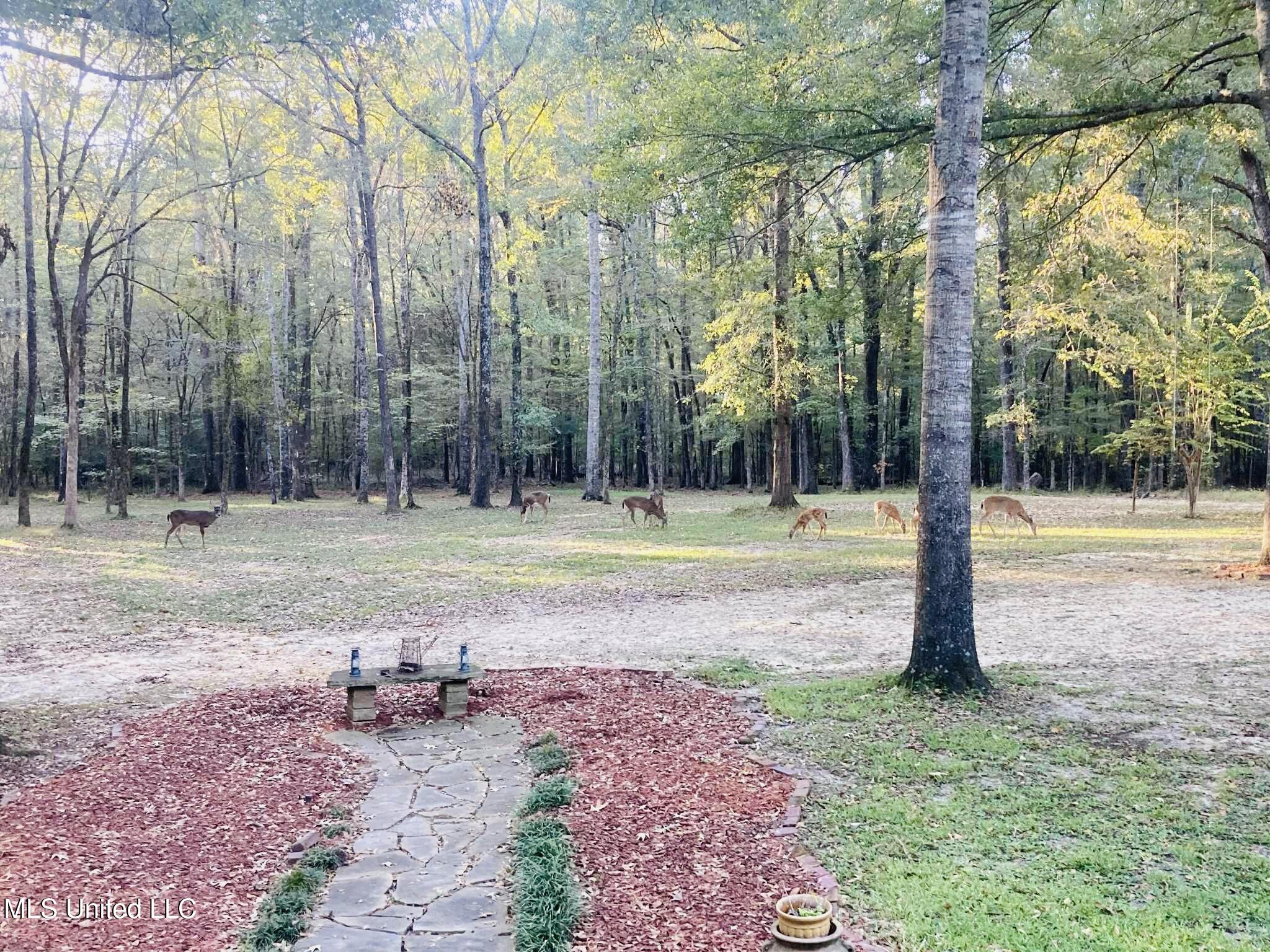 611 South Springlake Circle Terry, MS 39170 - Photo 3 of 47 att.B86sstawnvrGOOxA4SVv4Zl4AFk_ruf0X23I