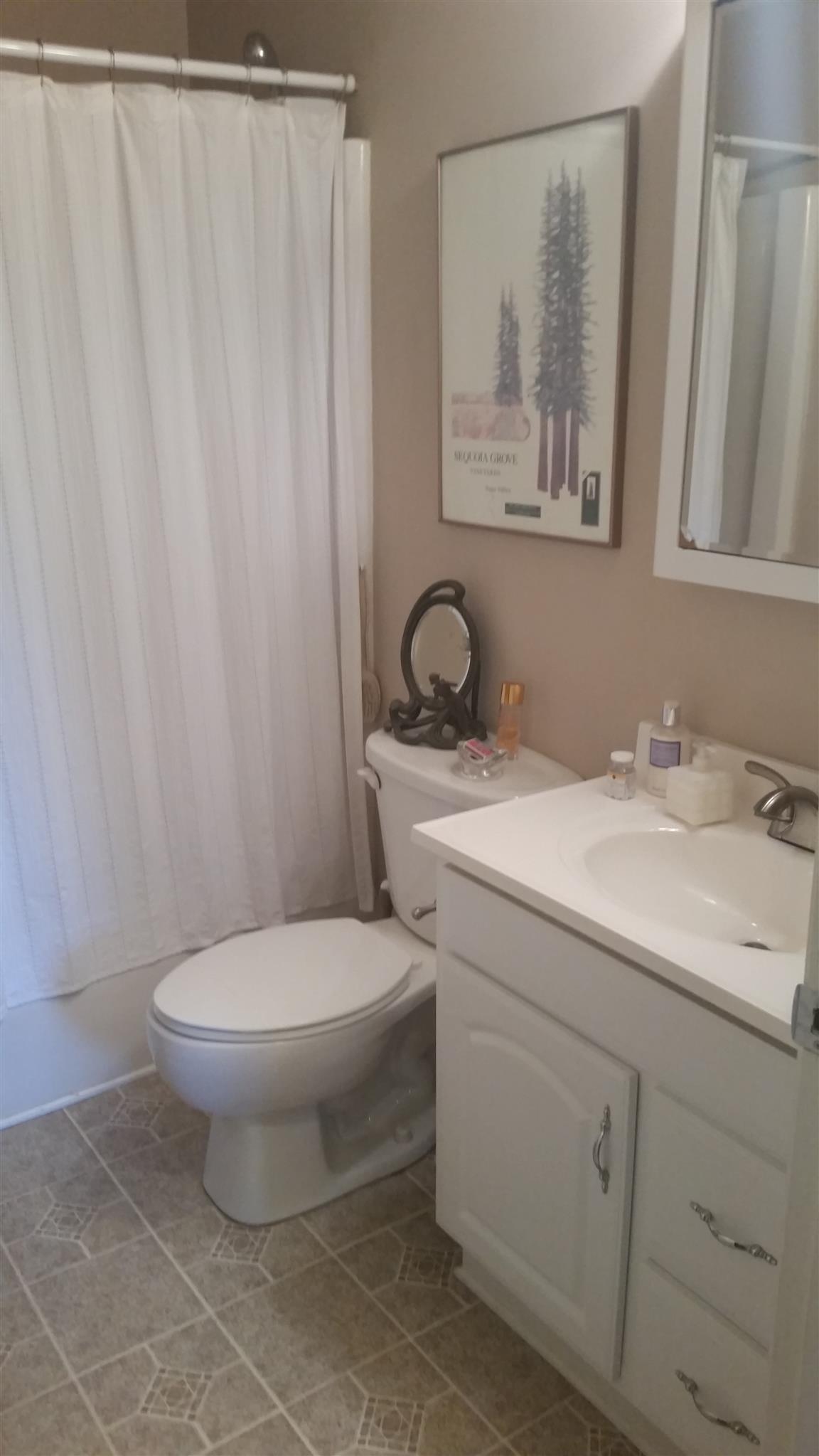 7816 Chester Road Fairview, TN 37062 - Photo 11 of 26 a bathroom with a toilet sink and mirror