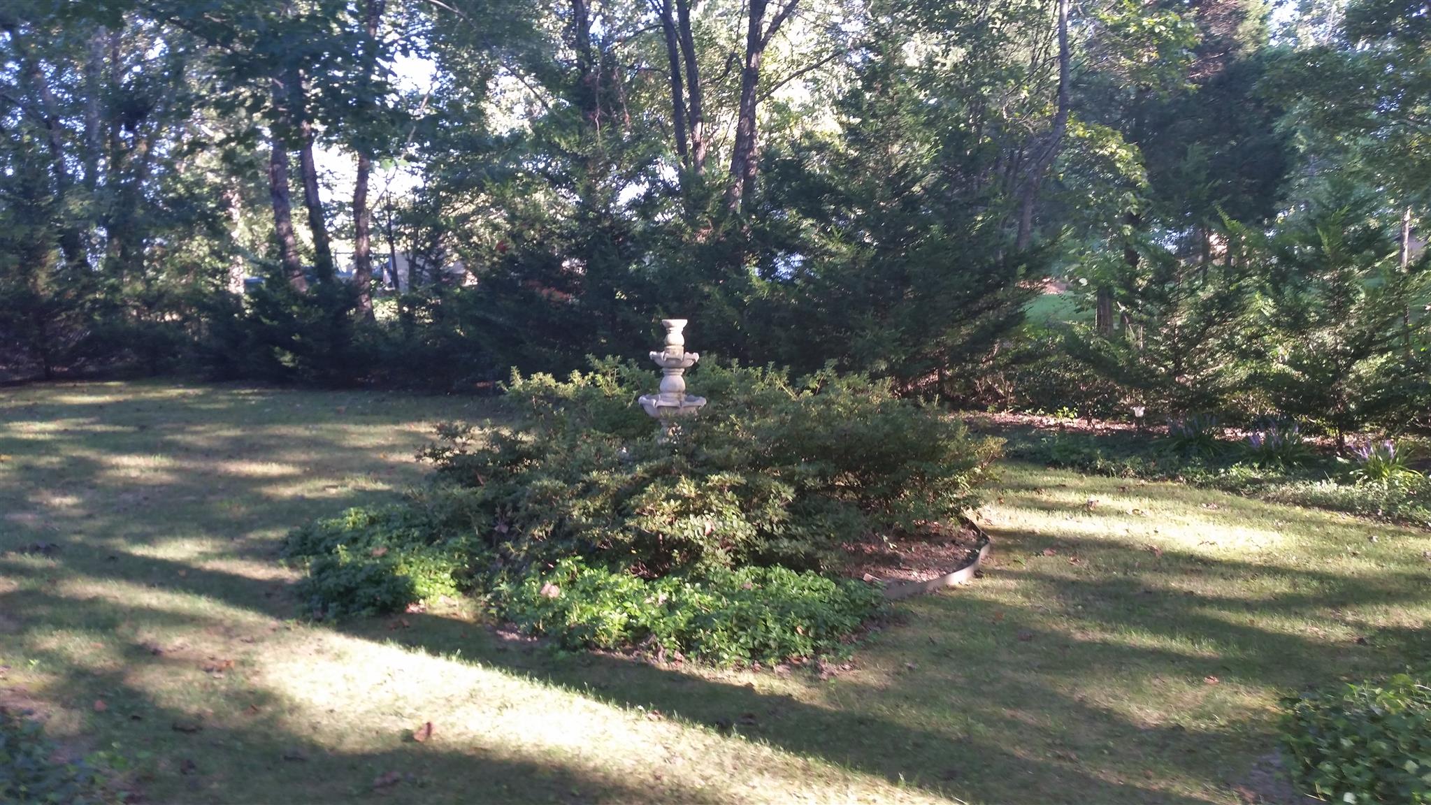 7816 Chester Road Fairview, TN 37062 - Photo 20 of 26 a view of a yard