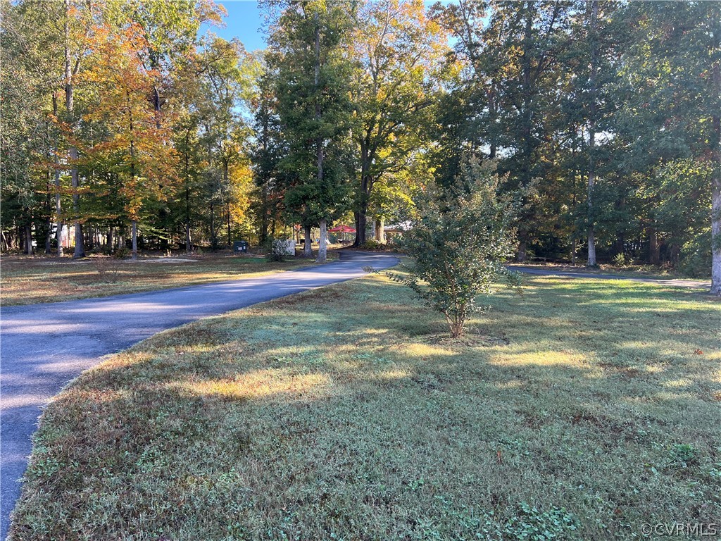 16714 Harrowgate Road Colonial Heights, VA 23834 - Photo 7 of 39 a view of a trees in a yard