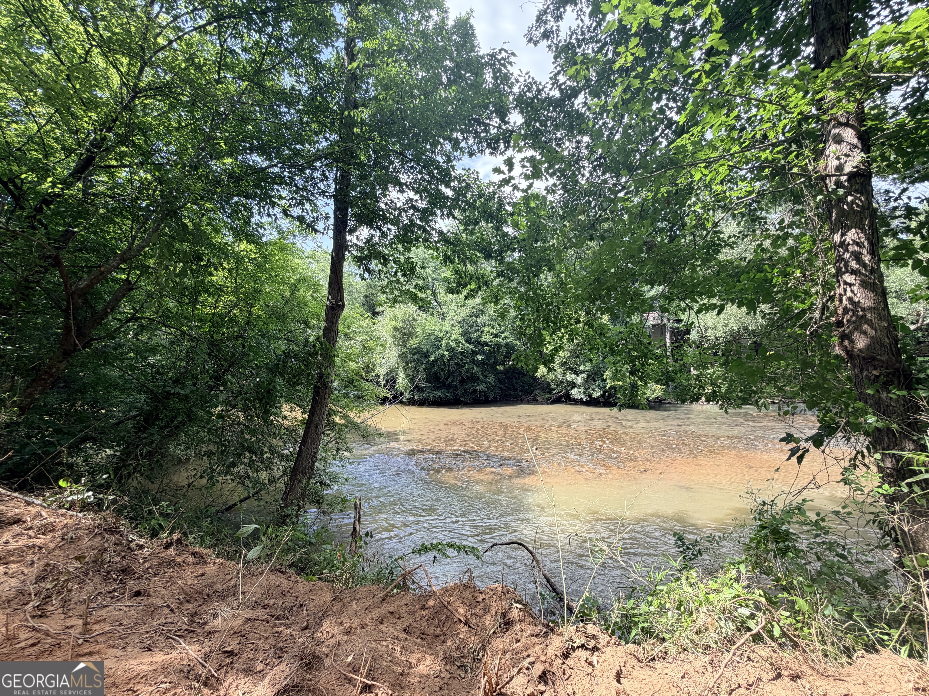 1590 James Adams Road Danielsville, GA 30633 - Photo 55 of 98