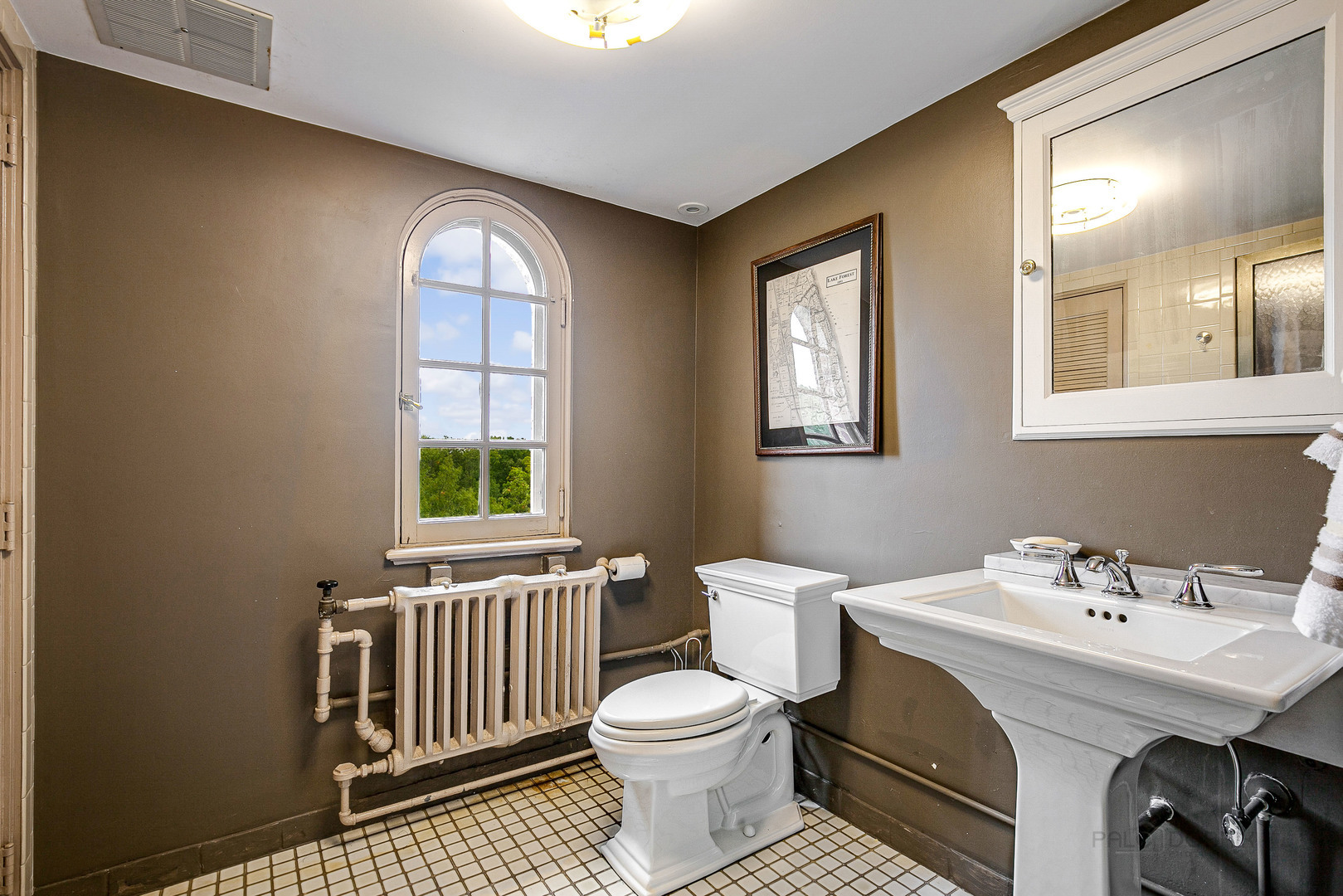 51 South Mayflower Road Lake Forest, IL 60045 - Photo 62 of 85 a bathroom with a sink and a mirror