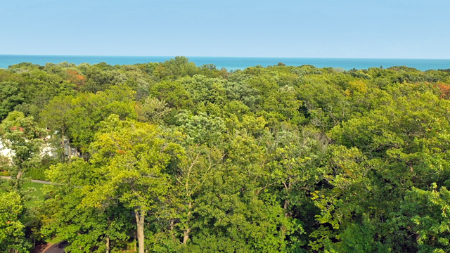 51 South Mayflower Road Lake Forest, IL 60045 - Photo 64 of 85