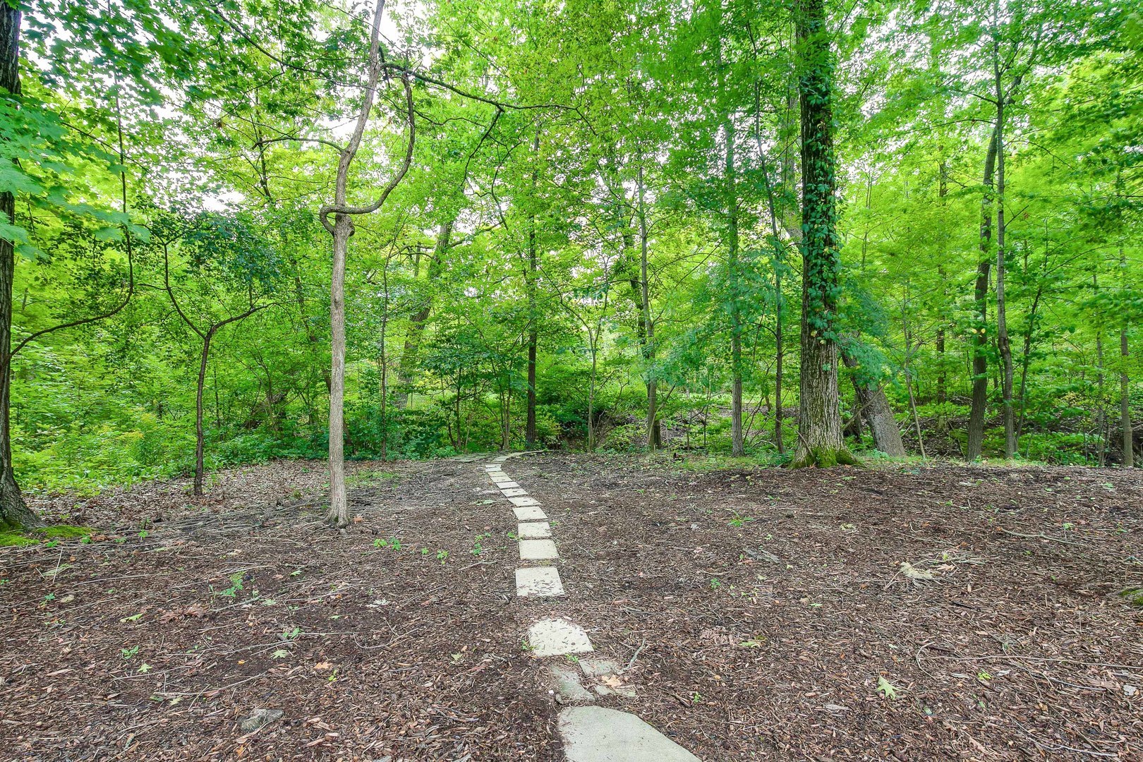 51 South Mayflower Road Lake Forest, IL 60045 - Photo 75 of 85 a view of a dirt road with trees in the background
