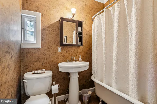 a view of a park with plants and trees