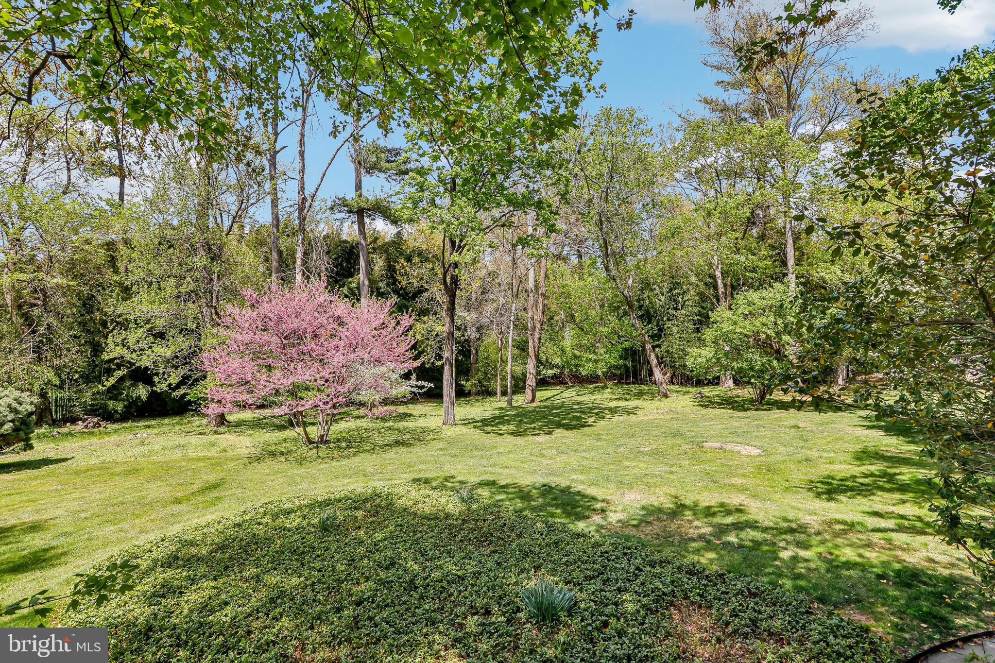 33 Rosedale Road Princeton, NJ 08540 - Photo 63 of 75 a backyard of a house with a yard and large trees