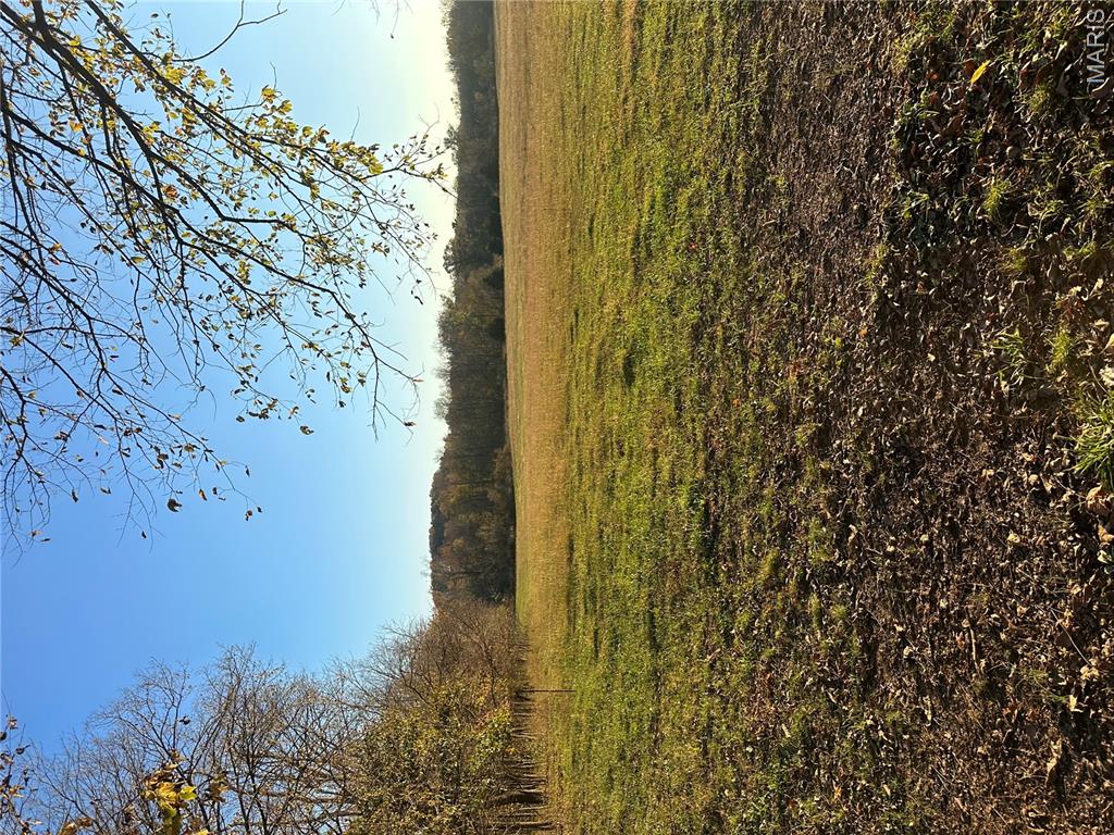 ... Choctaw Road Rogersville, MO 65742 - Photo 2 of 4
