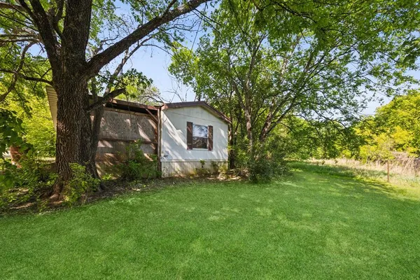 a backyard of a house with plants and large tree