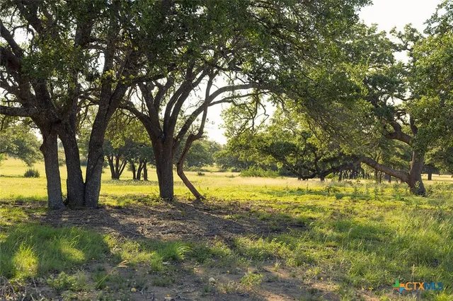 a view of an outdoor space with yard