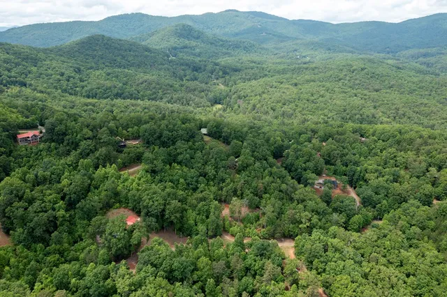 a view of a lush green hillside and a houses