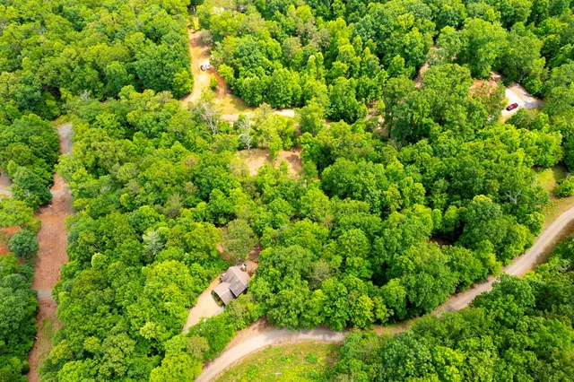 a view of a lush green forest with lots of trees