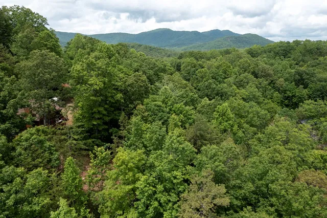 a view of a mountain range with lush green forest