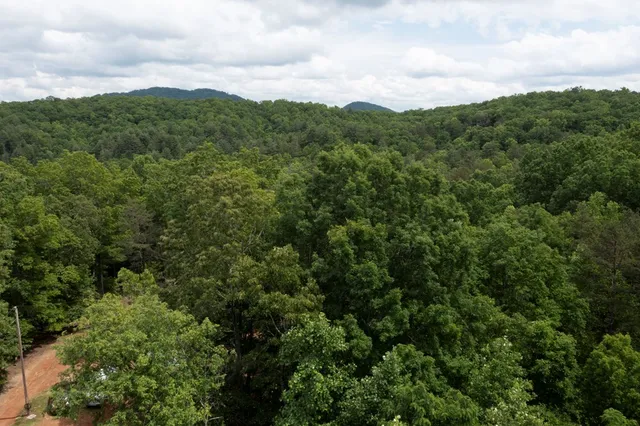 a view of a city with lush green forest