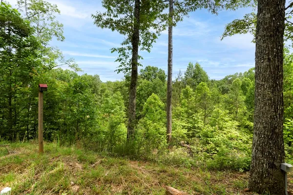 $59,900 | 62 Green Cove Spur, Murphy, NC 28906