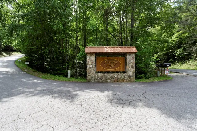 a close up of a shower curtain