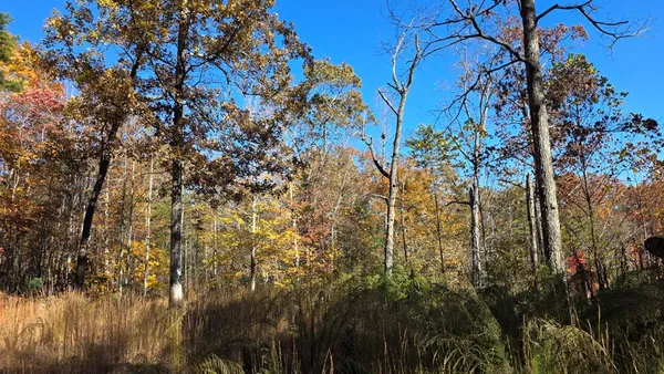 $59,900 | 62 Green Cove Spur, Murphy, NC 28906