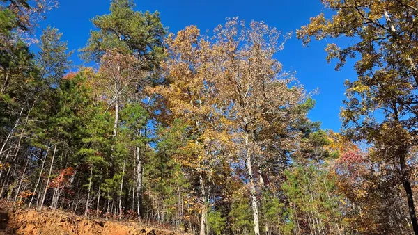 $59,900 | 62 Green Cove Spur, Murphy, NC 28906