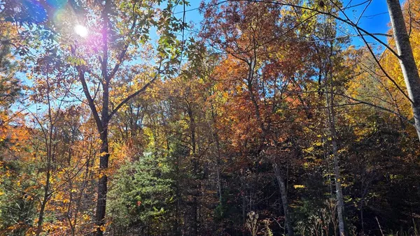 $59,900 | 62 Green Cove Spur, Murphy, NC 28906