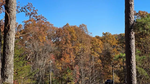 $64,900 | 62 Green Cove Spur, Murphy, NC 28906