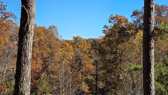 $64,900 | 62 Green Cove Spur, Murphy, NC 28906