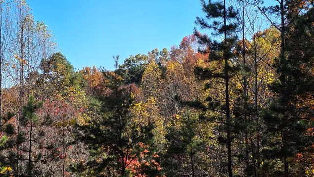 $64,900 | 62 Green Cove Spur, Murphy, NC 28906