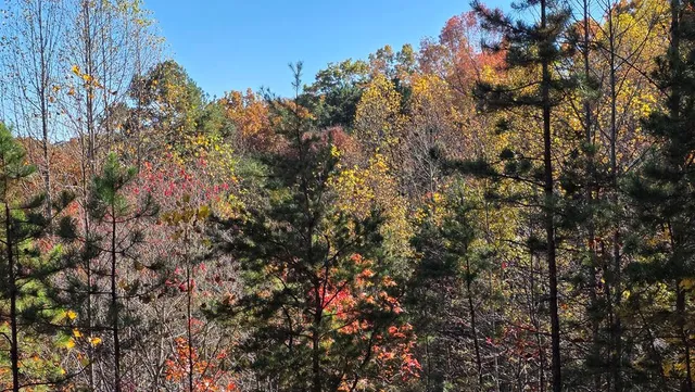 $64,900 | 62 Green Cove Spur, Murphy, NC 28906