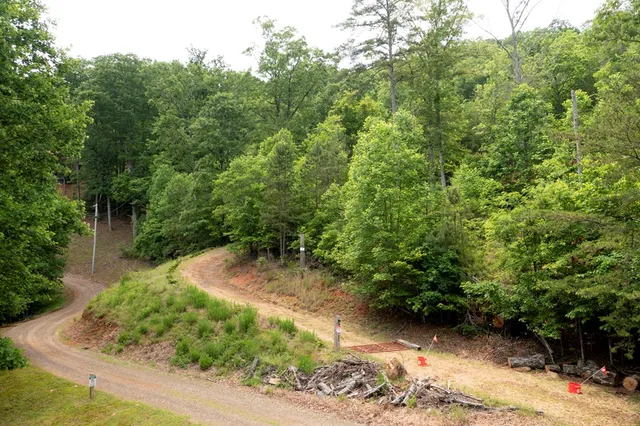 a view of a pathway of a yard