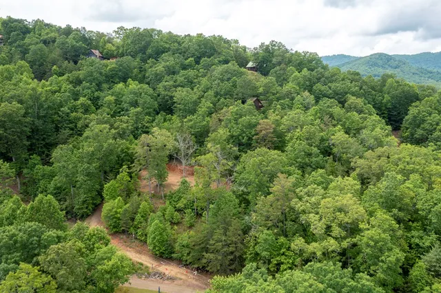 an aerial view of a forest with houses