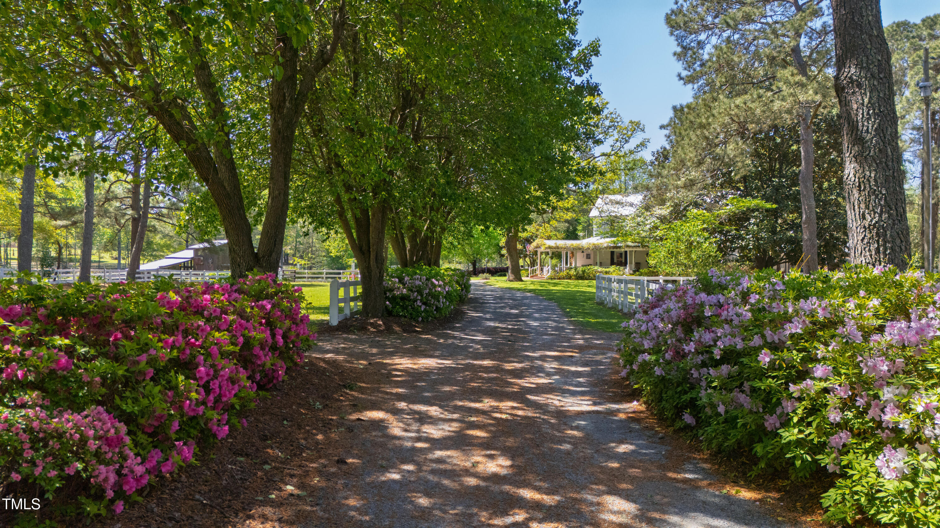 Welcome To Willow Pond Farmstead