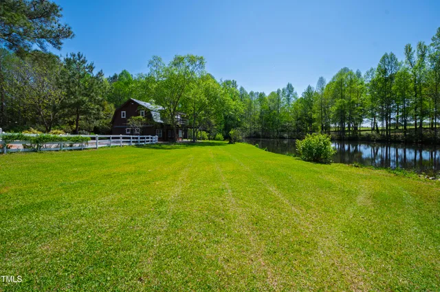 a view of a garden with lawn chairs